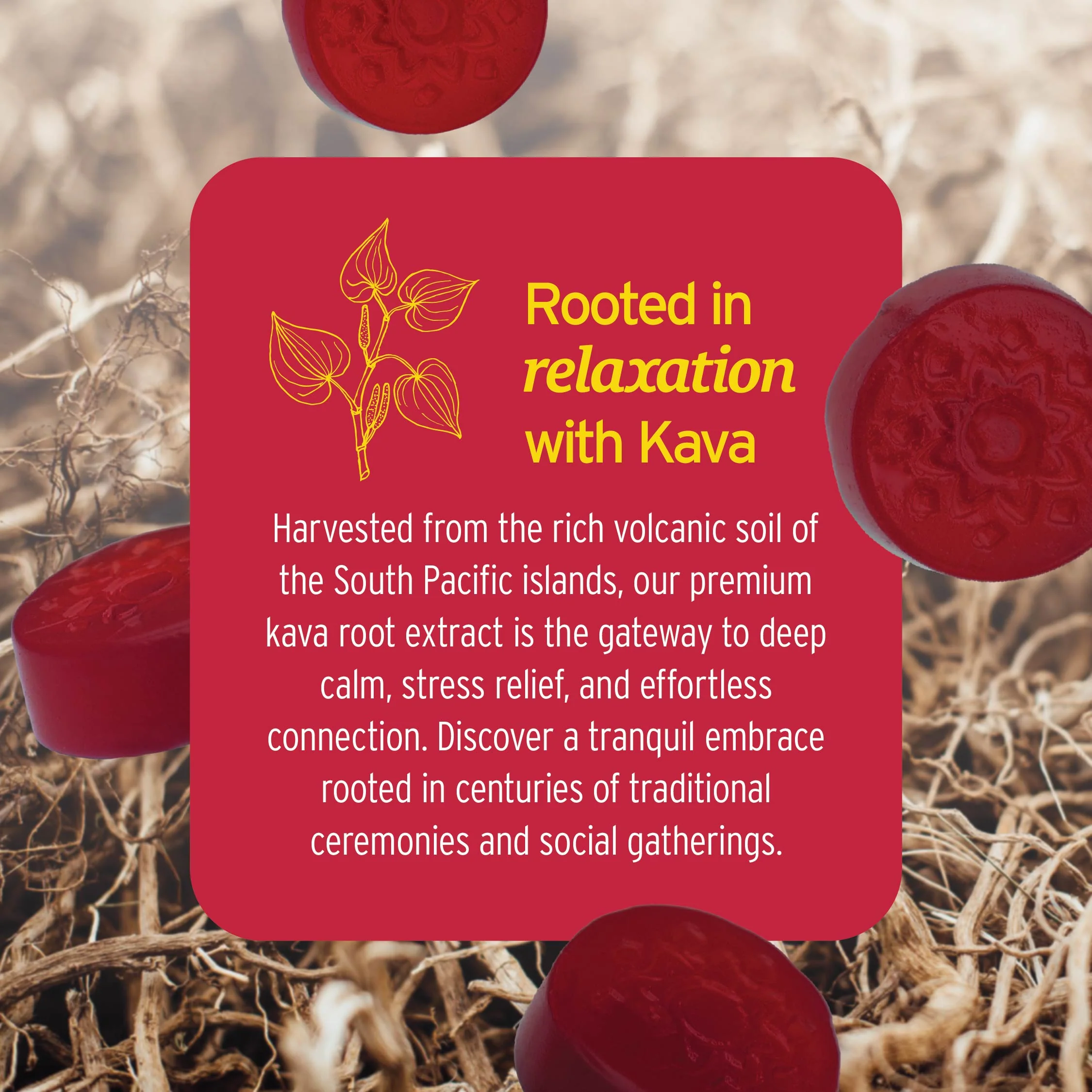 Kava Gummies - Image 4