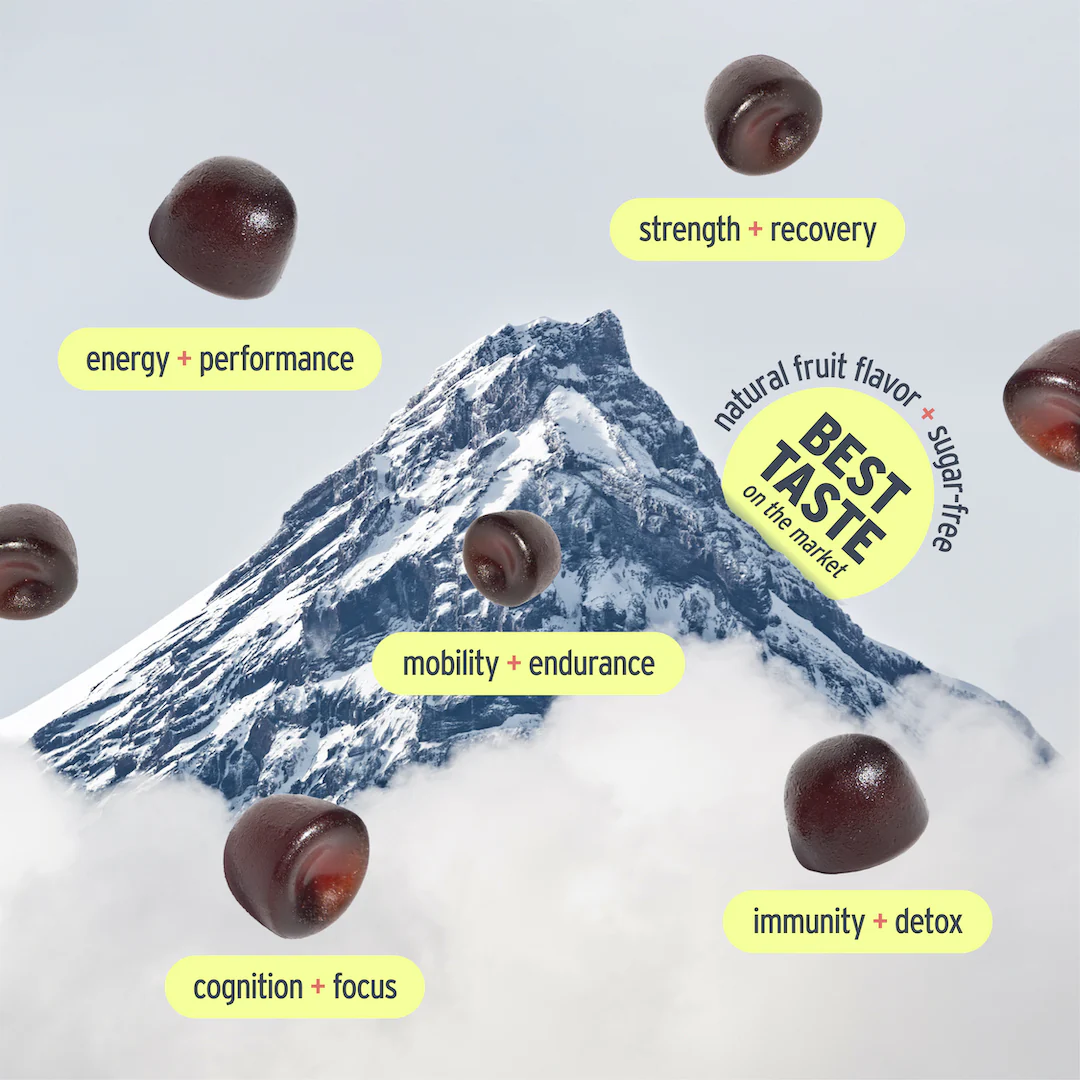 Shilajit Gummies - Image 3