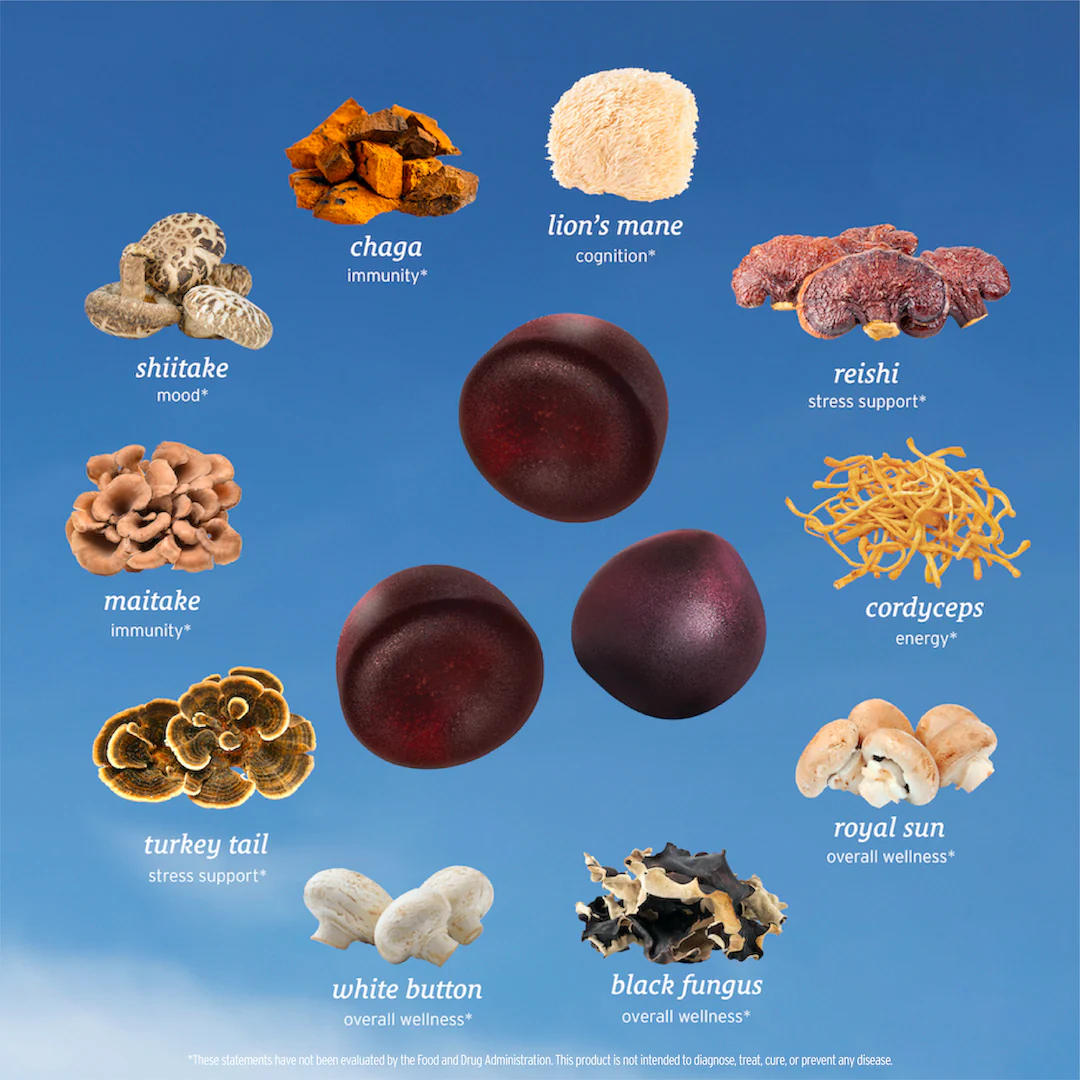 All-in-One Mushroom Gummies - Image 3