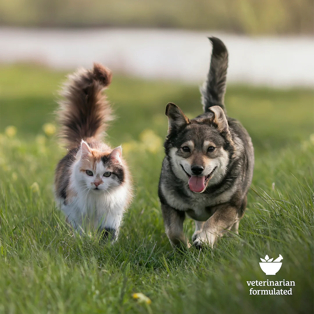 Broad Spectrum Allergy Aid CBD Pet Chews - Image 4