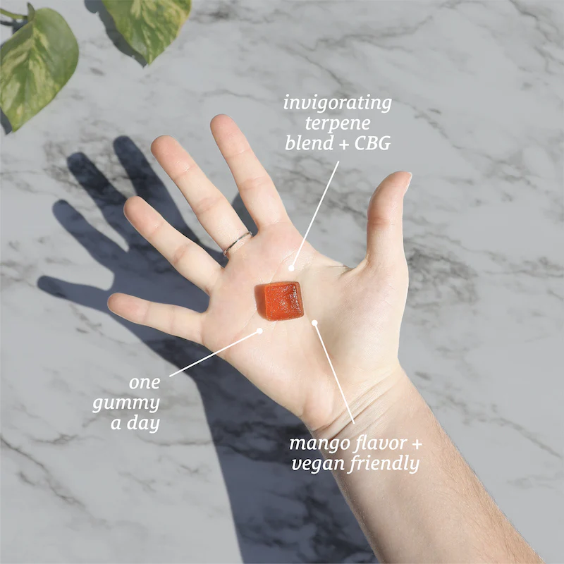 Broad Spectrum Rise CBG Gummies Starter Pack - Image 5