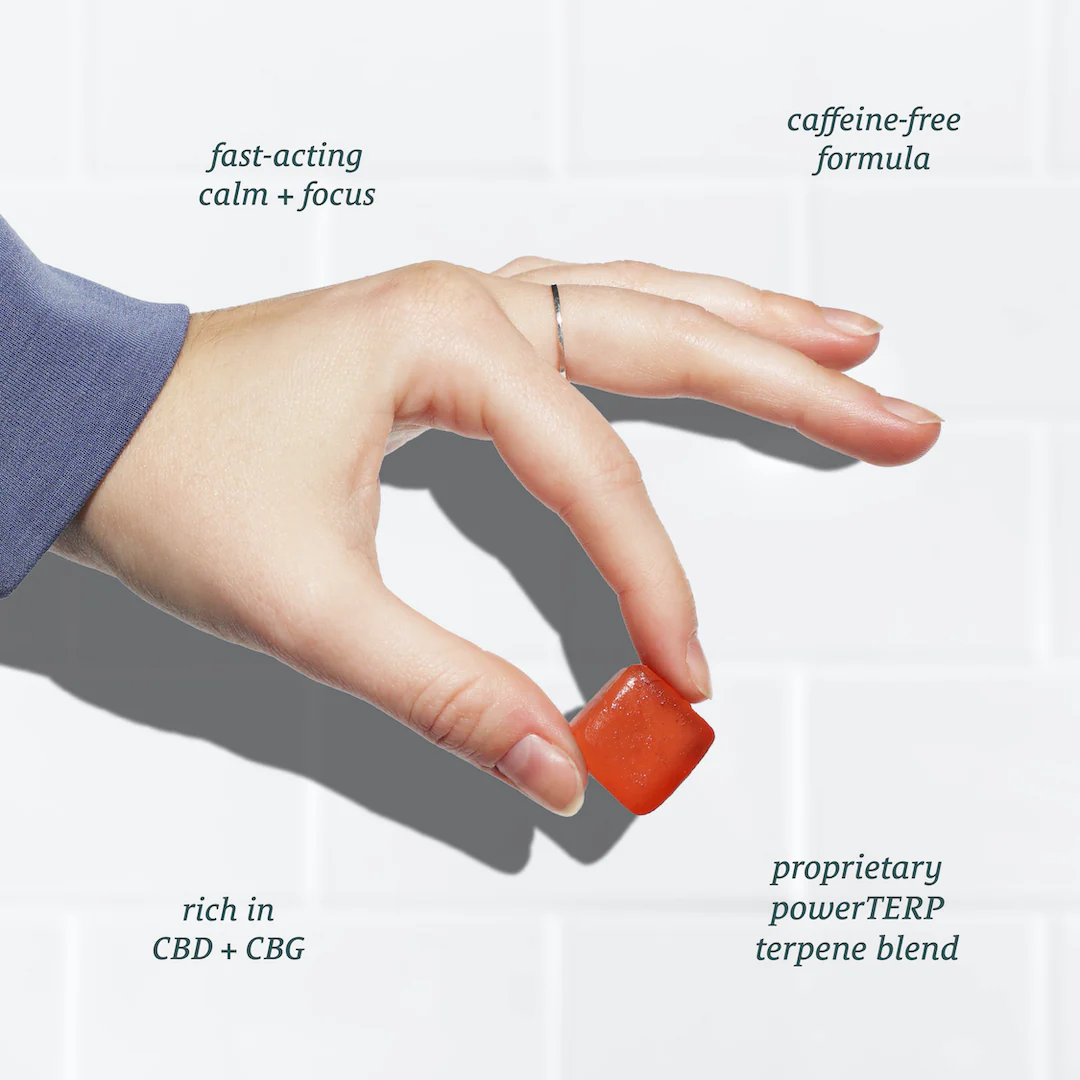 Full Spectrum Neuro Water Soluble CBD Gummies Starter Pack - Image 3
