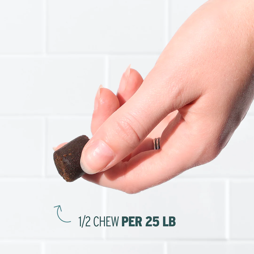 Broad Spectrum Chillin’ Out CBD Pet Chews - Image 4